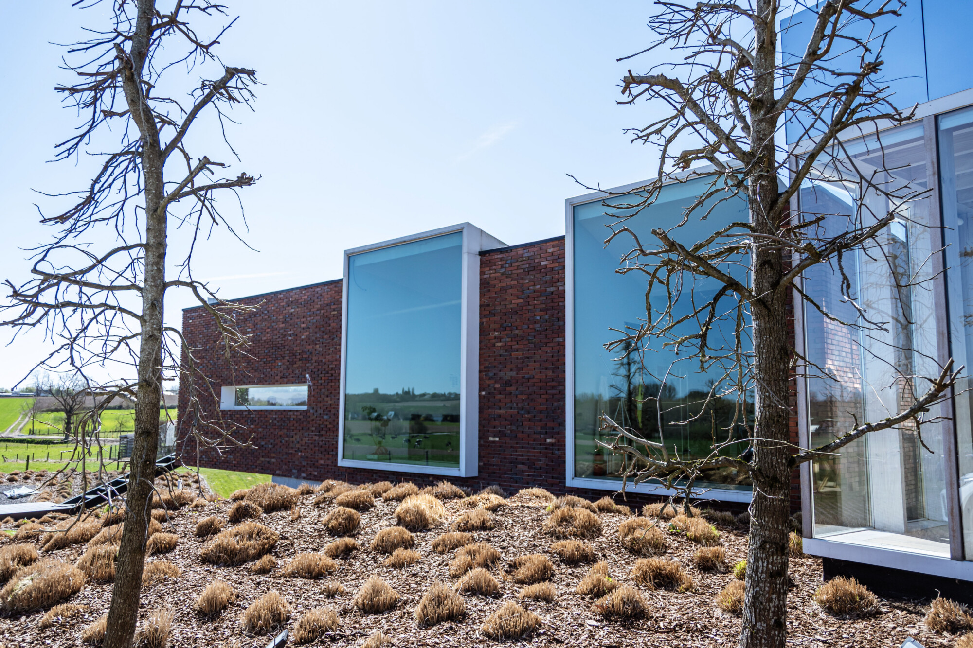 Modern notariskantoor Horebeke met bakstenen gevel en grote ramen tussen kale bomen in landelijke omgeving